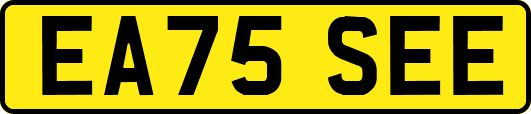EA75SEE