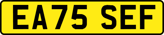 EA75SEF