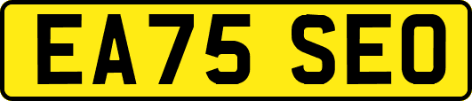 EA75SEO