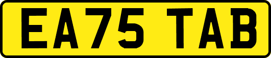 EA75TAB