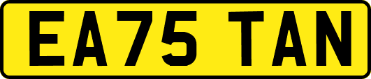 EA75TAN