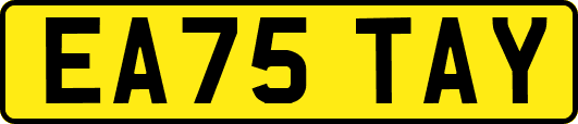 EA75TAY