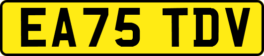 EA75TDV