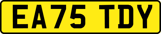 EA75TDY