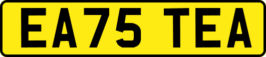 EA75TEA