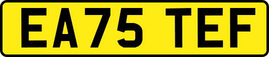 EA75TEF