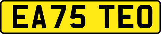 EA75TEO