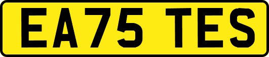 EA75TES