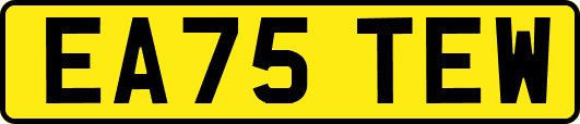 EA75TEW