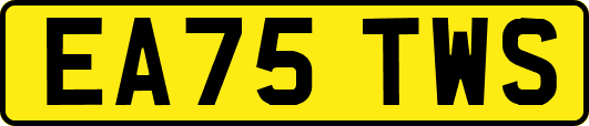 EA75TWS