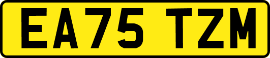 EA75TZM