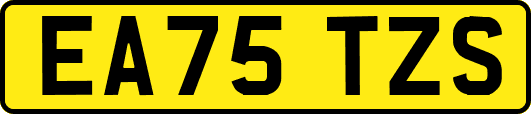 EA75TZS