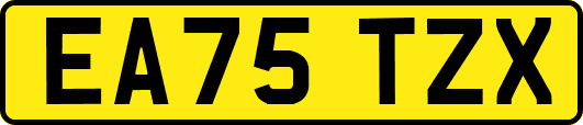 EA75TZX