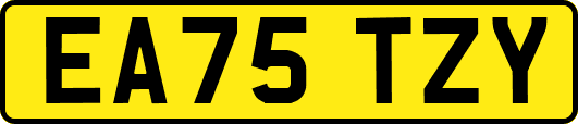EA75TZY