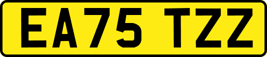EA75TZZ