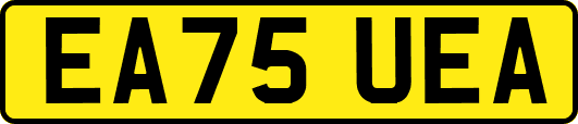 EA75UEA