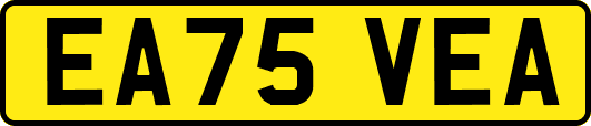 EA75VEA