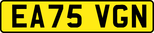 EA75VGN