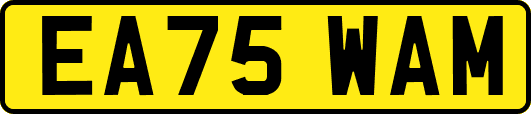 EA75WAM