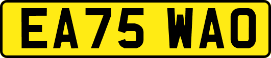 EA75WAO
