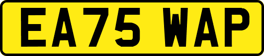 EA75WAP