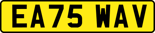 EA75WAV