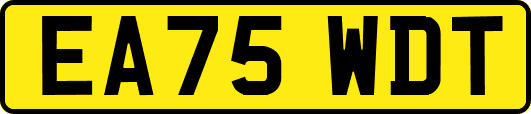 EA75WDT