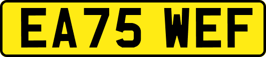 EA75WEF