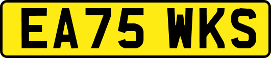 EA75WKS