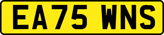EA75WNS