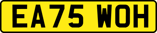 EA75WOH