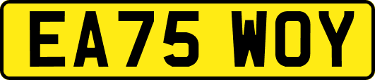 EA75WOY