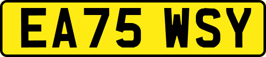 EA75WSY