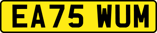 EA75WUM