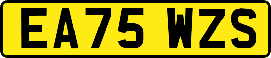 EA75WZS