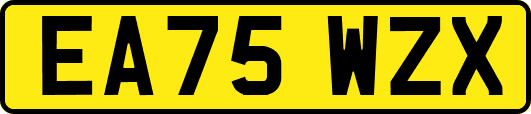 EA75WZX