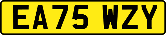 EA75WZY