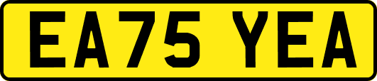 EA75YEA