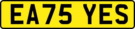 EA75YES