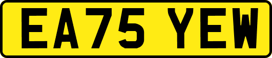EA75YEW