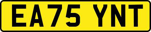 EA75YNT