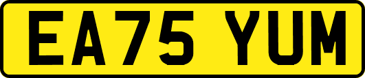 EA75YUM