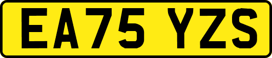 EA75YZS
