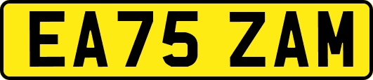 EA75ZAM