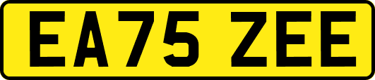 EA75ZEE