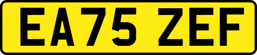 EA75ZEF