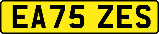 EA75ZES