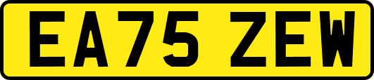 EA75ZEW
