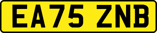 EA75ZNB