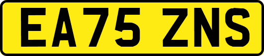 EA75ZNS